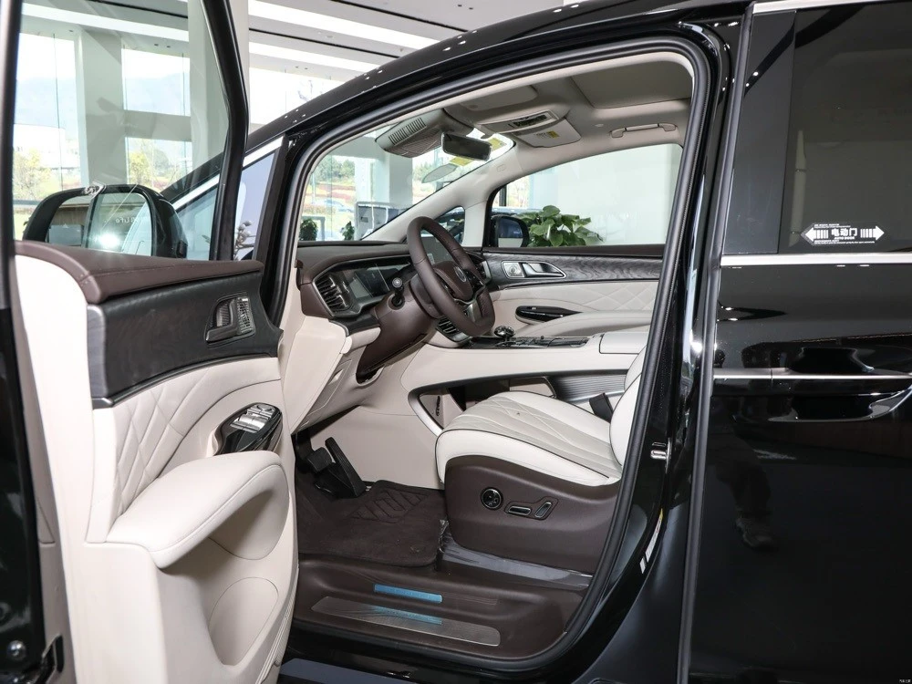 Denza D9 family car