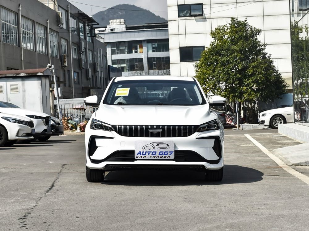 import Geely Binray