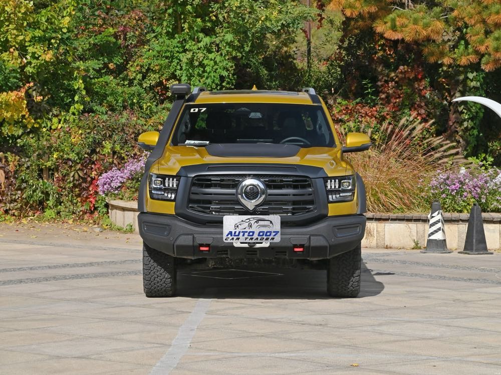 import Great Wall Sahar Poer