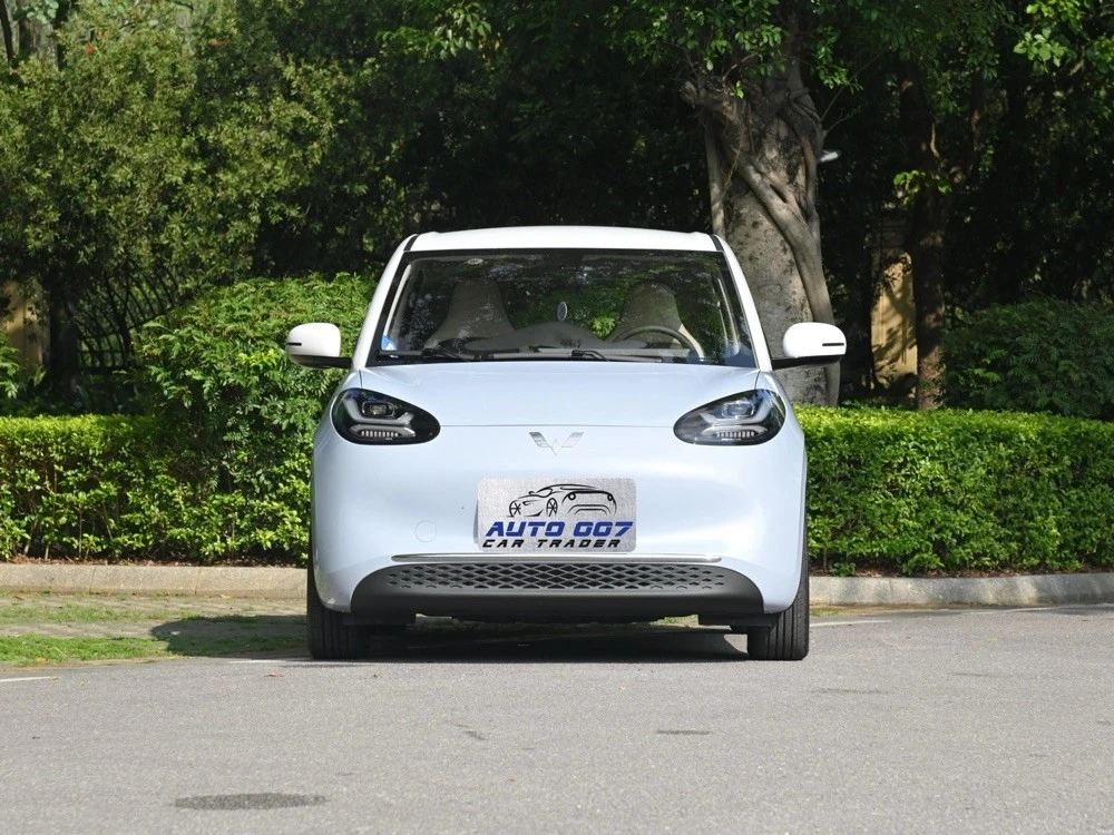productcate-1-1 Wuling Binguo Plus Electric Car import