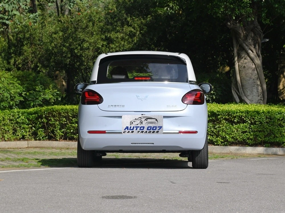 productcate-1-1 Wuling Binguo Plus specifications