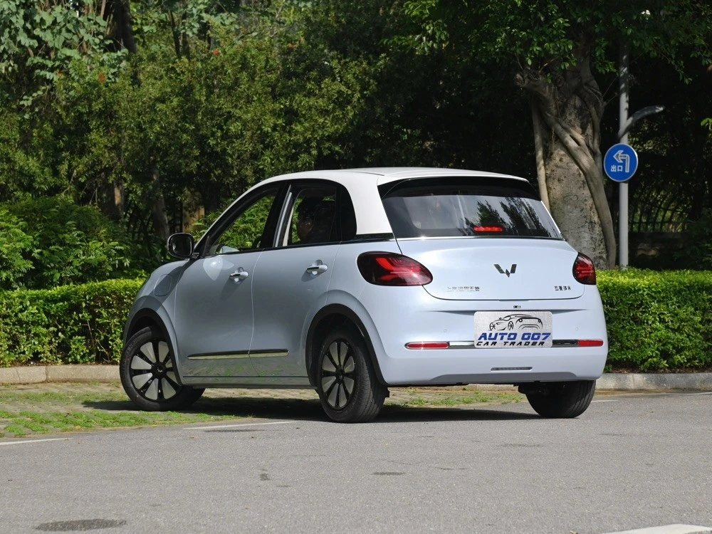 productcate-1-1 Wuling Binguo Plus features